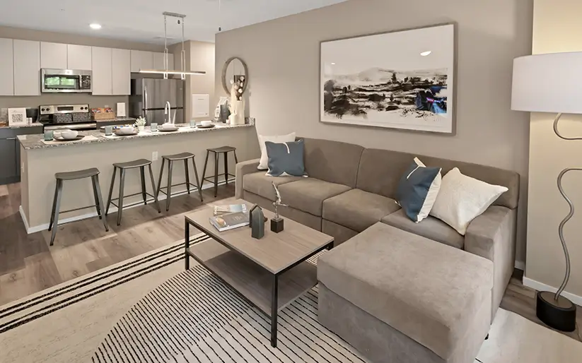 Furnished apartment living spacee