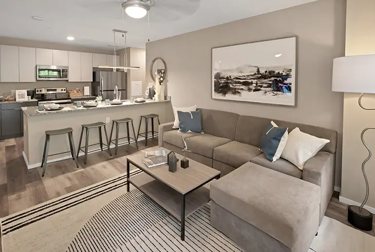 Furnished apartment living spacee