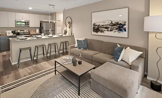Furnished apartment living spacee