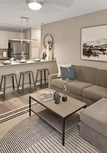 furnished apartment living space